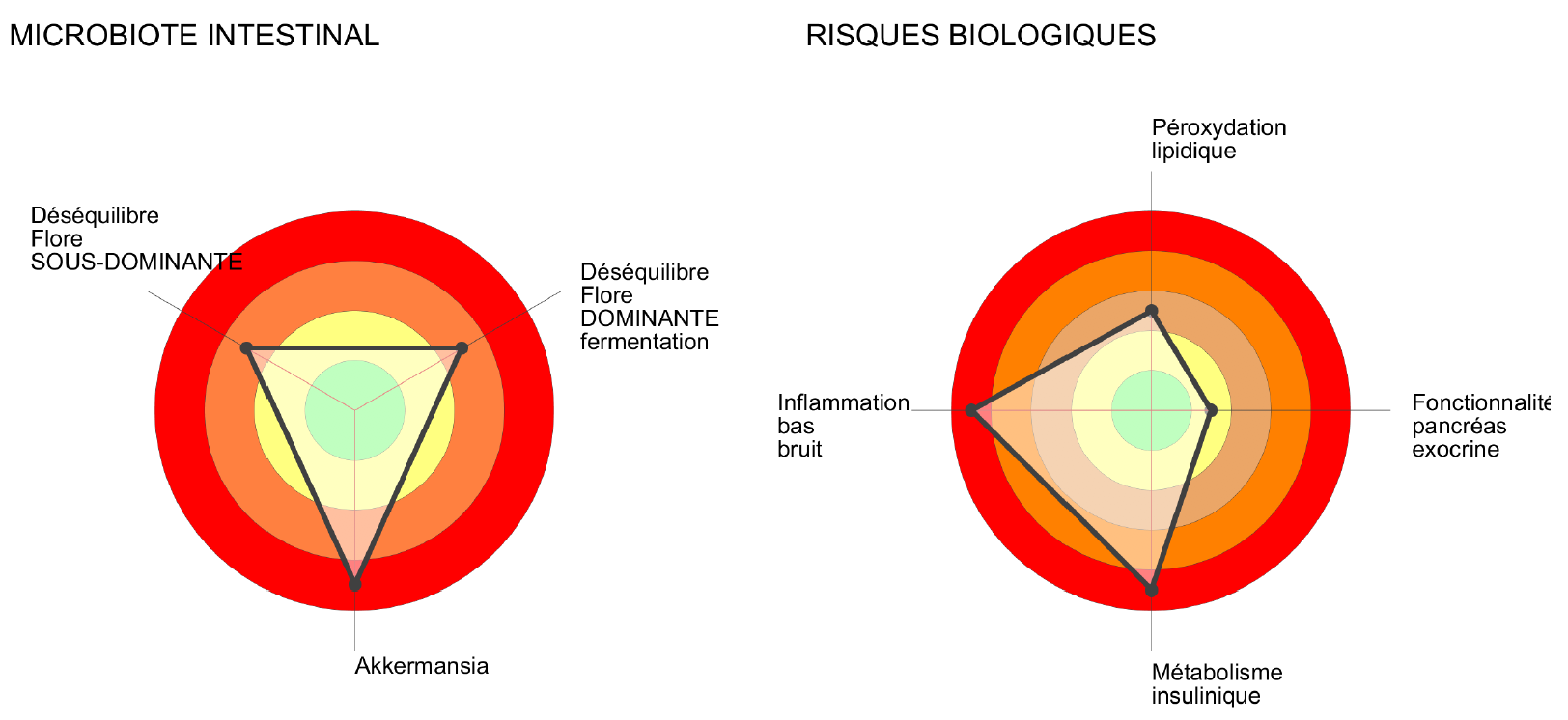 Bilan métabolique cibles - Laboratoire Barbier