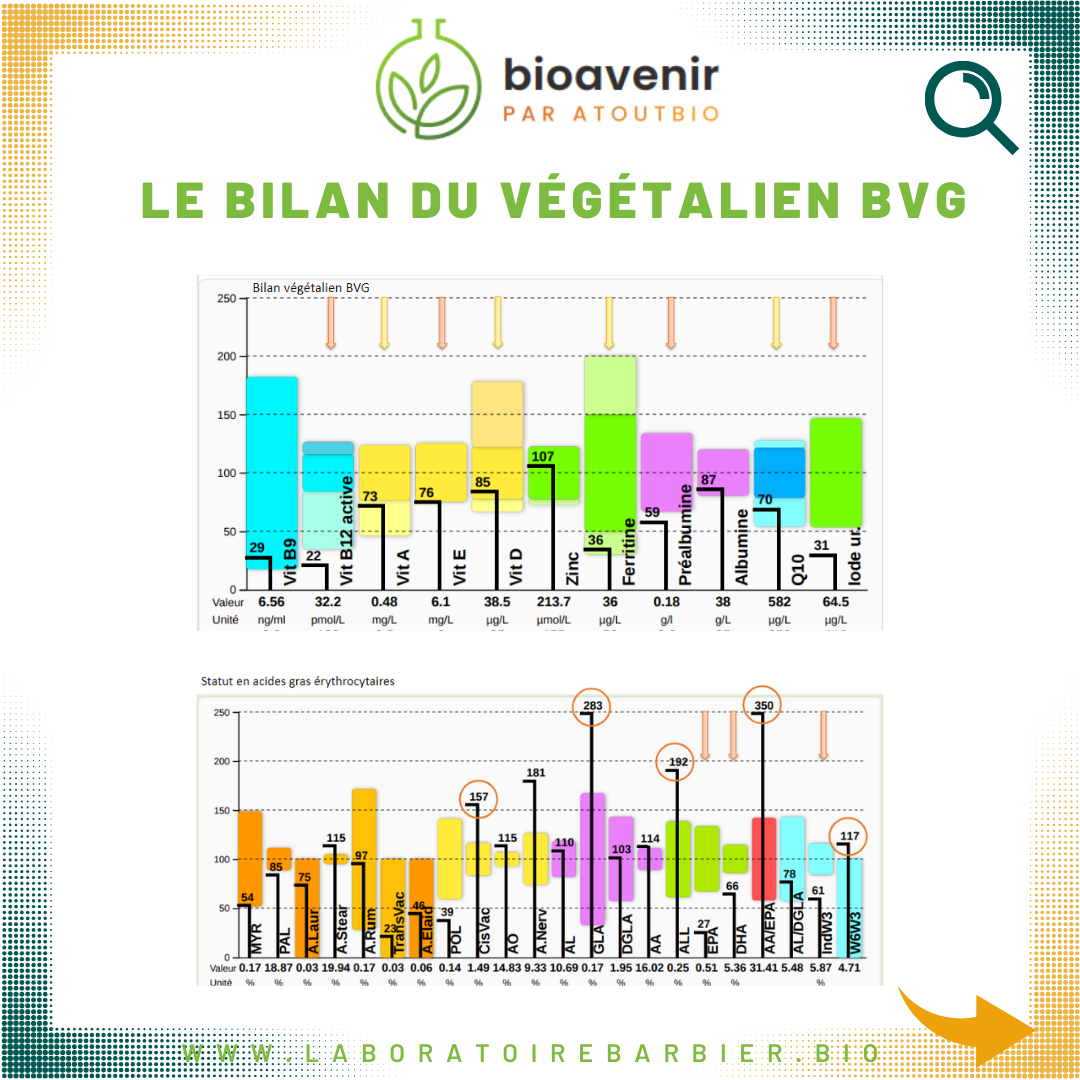 Bilan du Végétalien